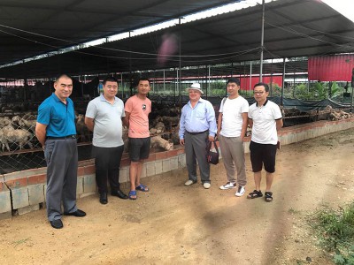 俄罗斯客户来中国实地考察